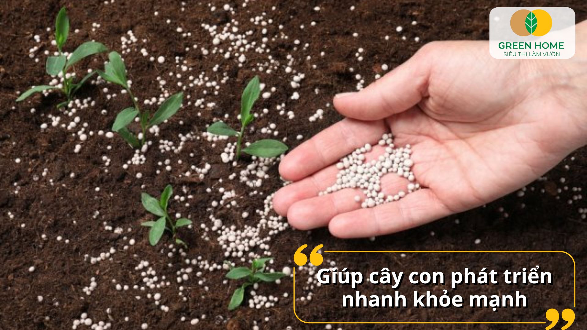 Tìm hiểu công dụng của phân NPK giúp bón cây đúng cách hơn