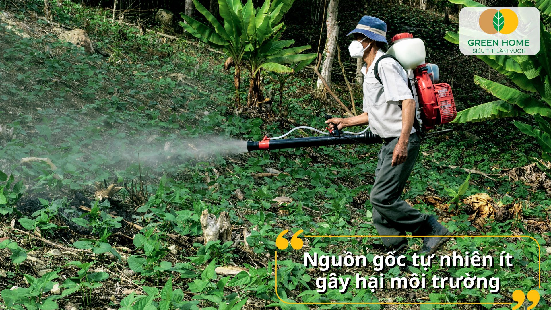Chế phẩm sinh học trừ sâu an toàn cho rau sạch tại nhà
