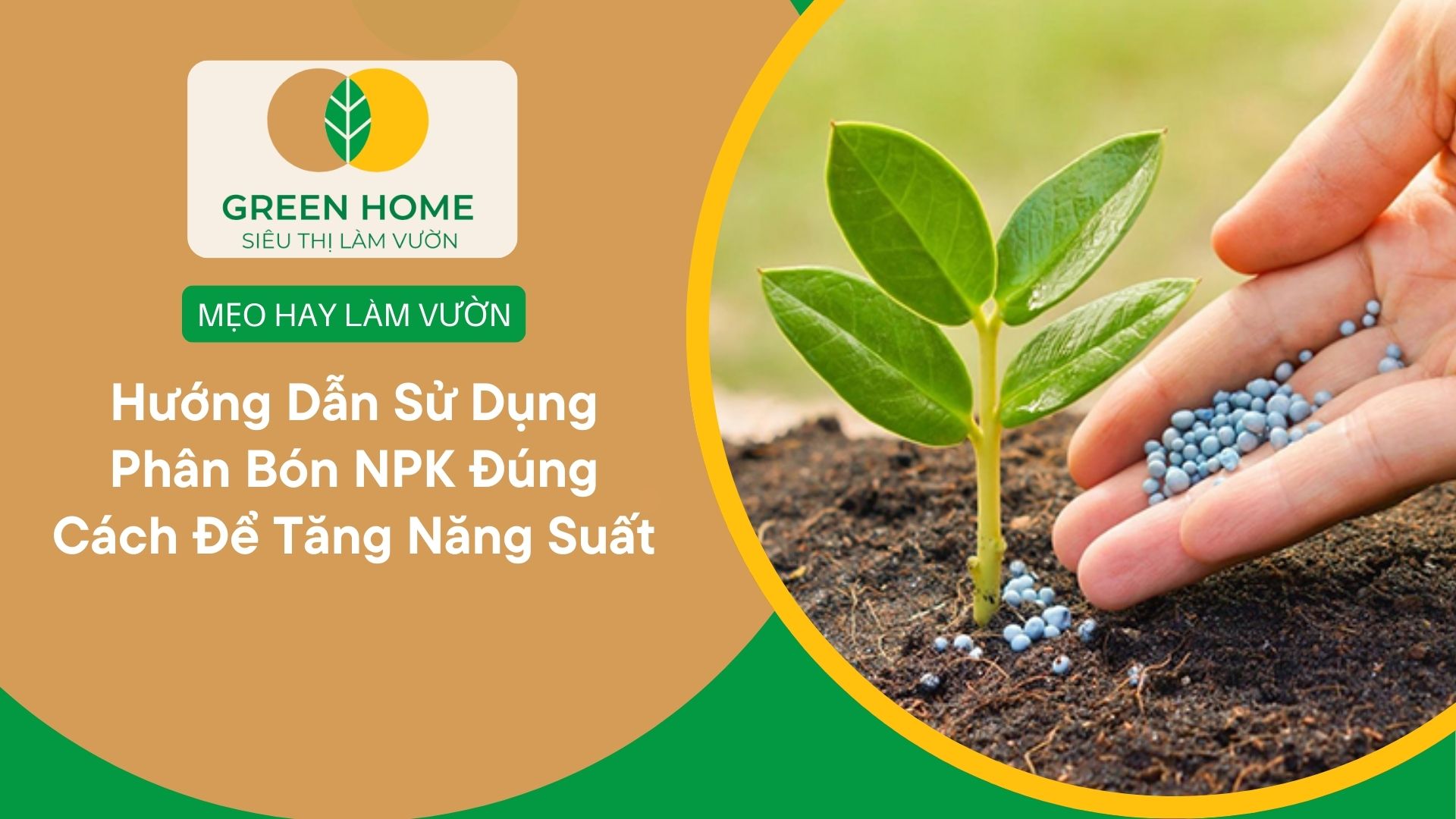 Hướng Dẫn Sử Dụng Phân Bón NPK Đúng Cách Để Tăng Năng Suất