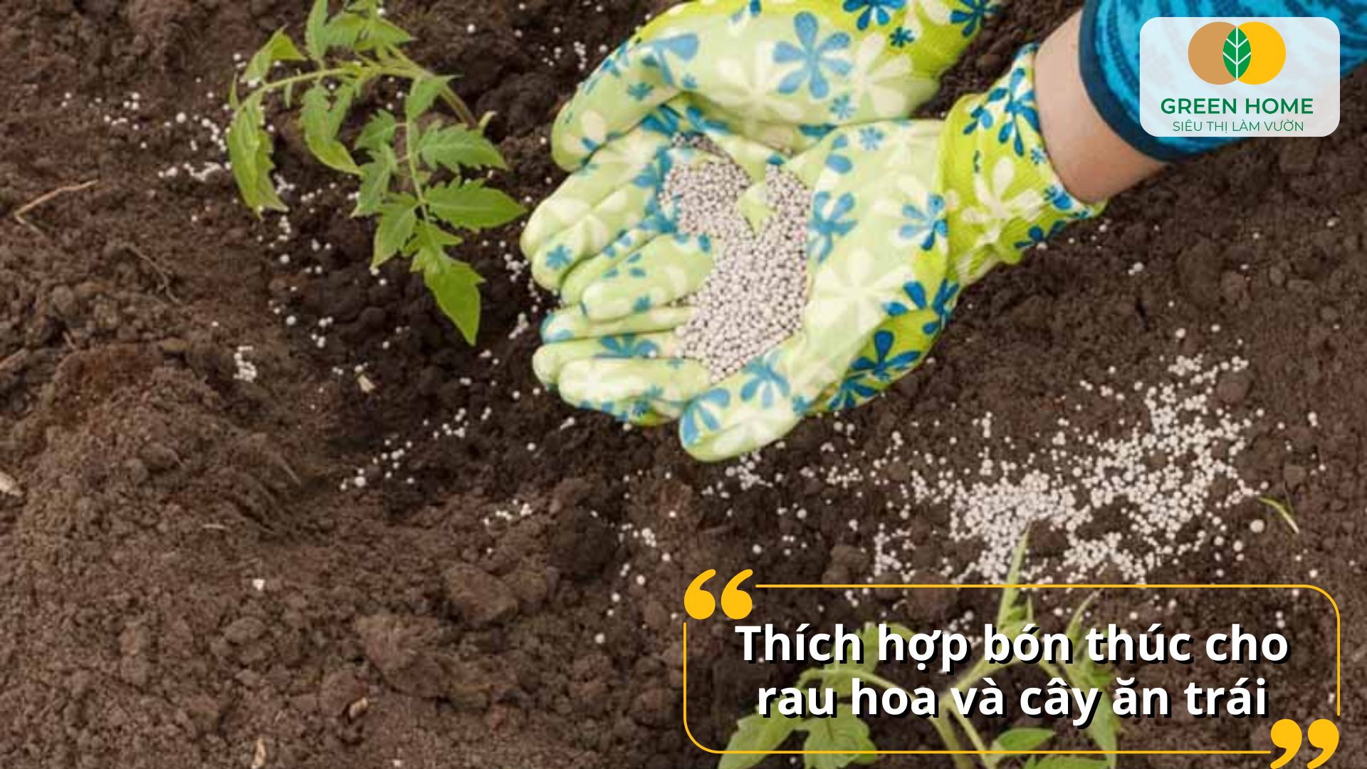 Cải thiện cấu trúc đất bạc màu nhờ phân bón NPK