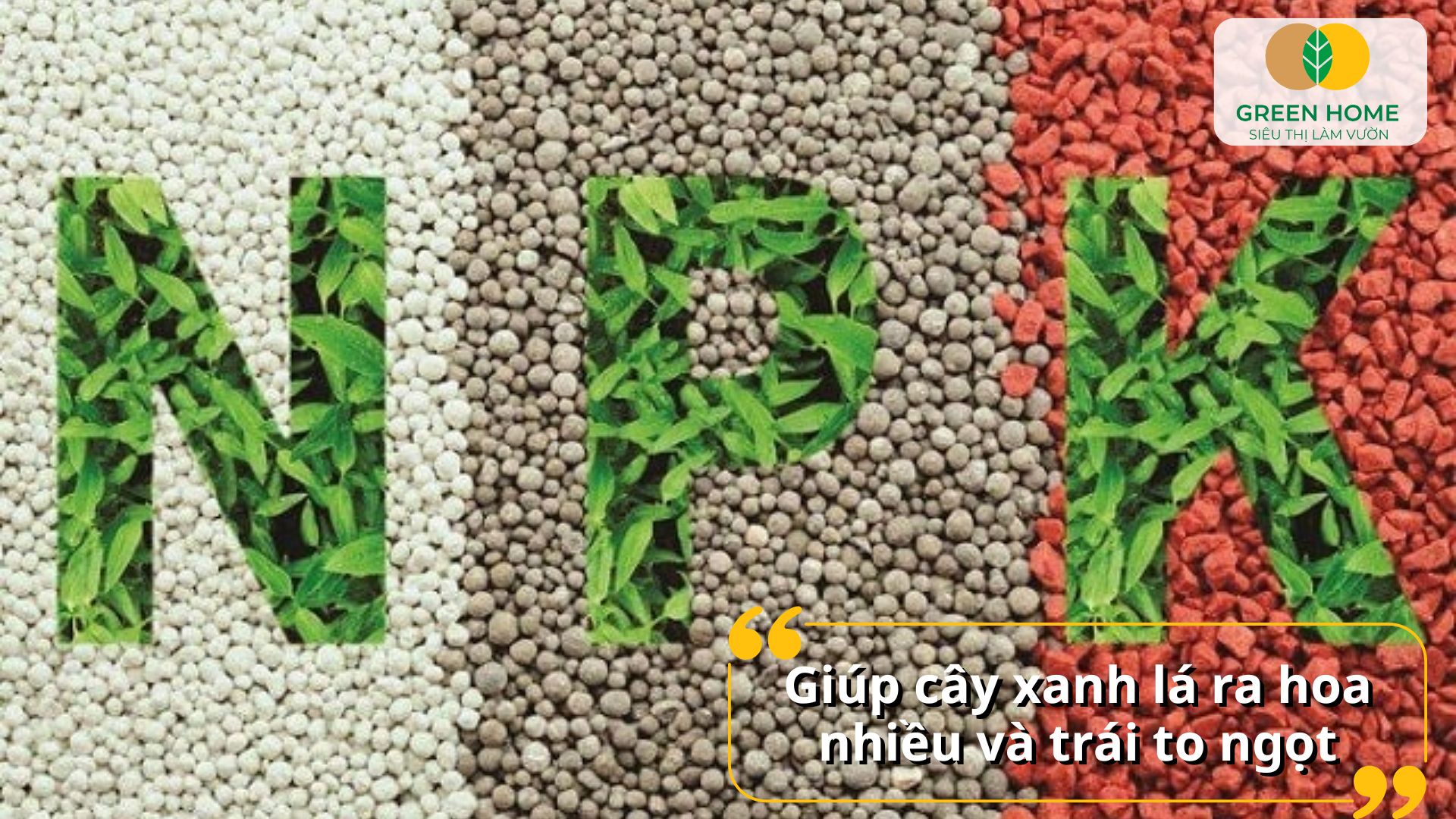 Đạt hiệu quả tối ưu trong nông nghiệp với hướng dẫn sử dụng phân bón NPK