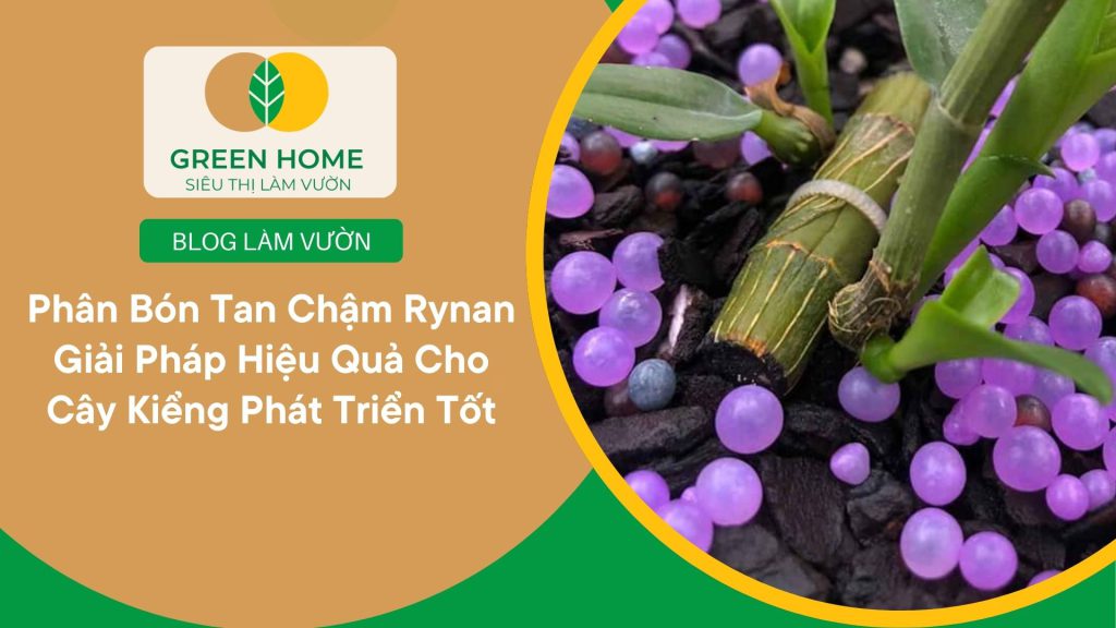 Vườn hoa khoe sắc quanh năm nhờ phân bón tan chậm Rynan
