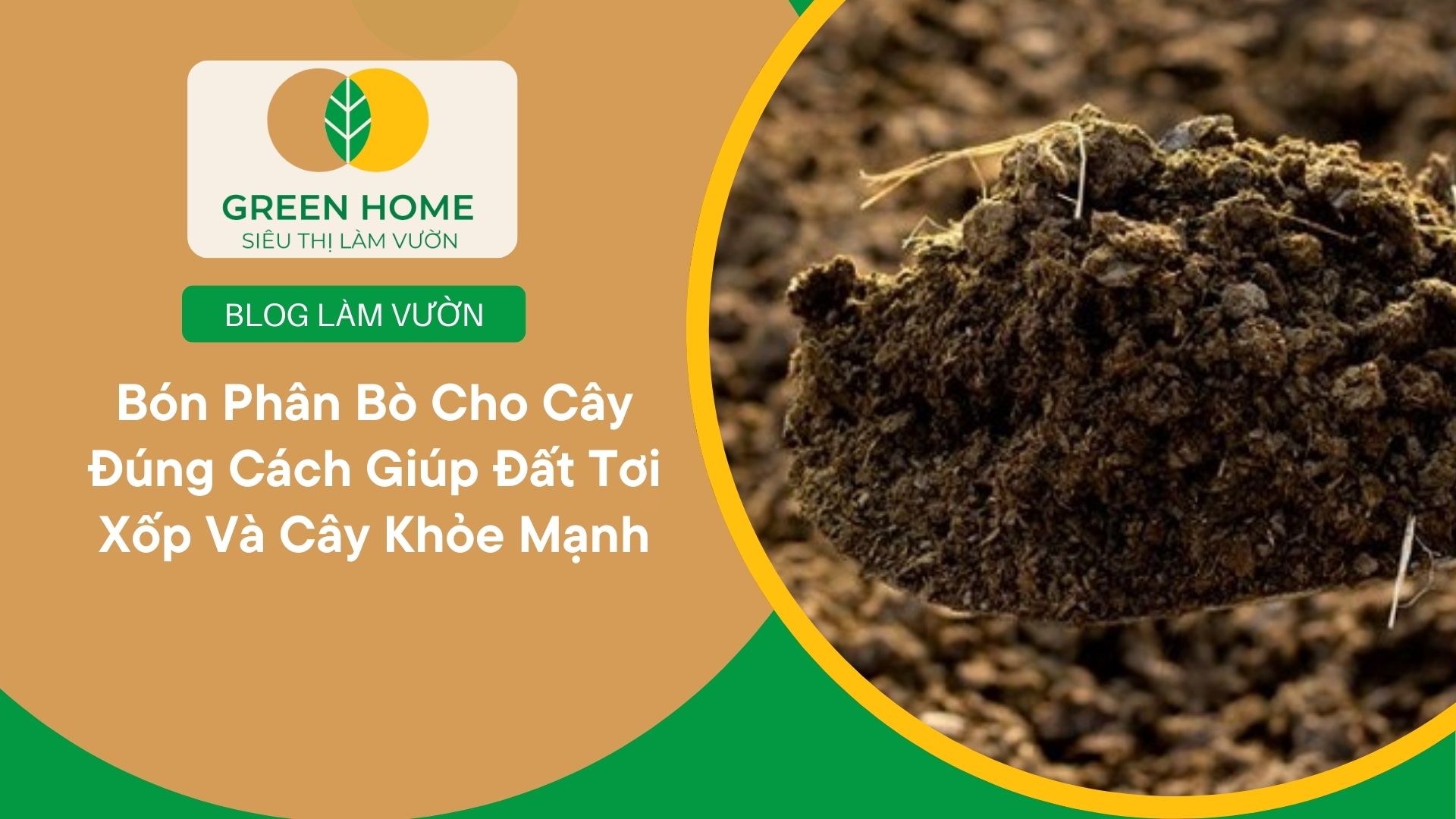 Bón Phân Bò Cho Cây Đúng Cách Giúp Đất Tơi Xốp Và Cây Khỏe Mạnh