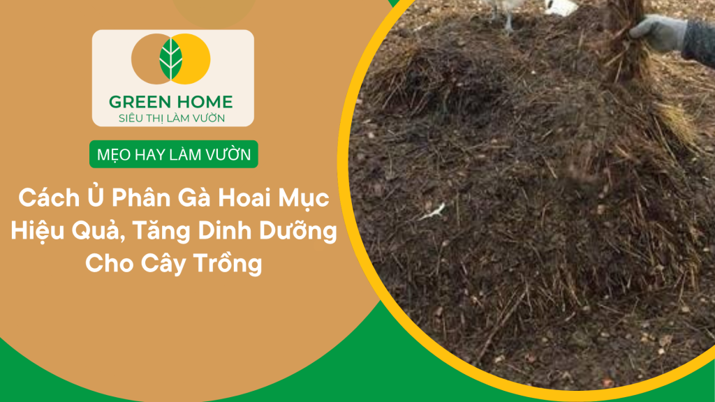 Cách ủ phân gà