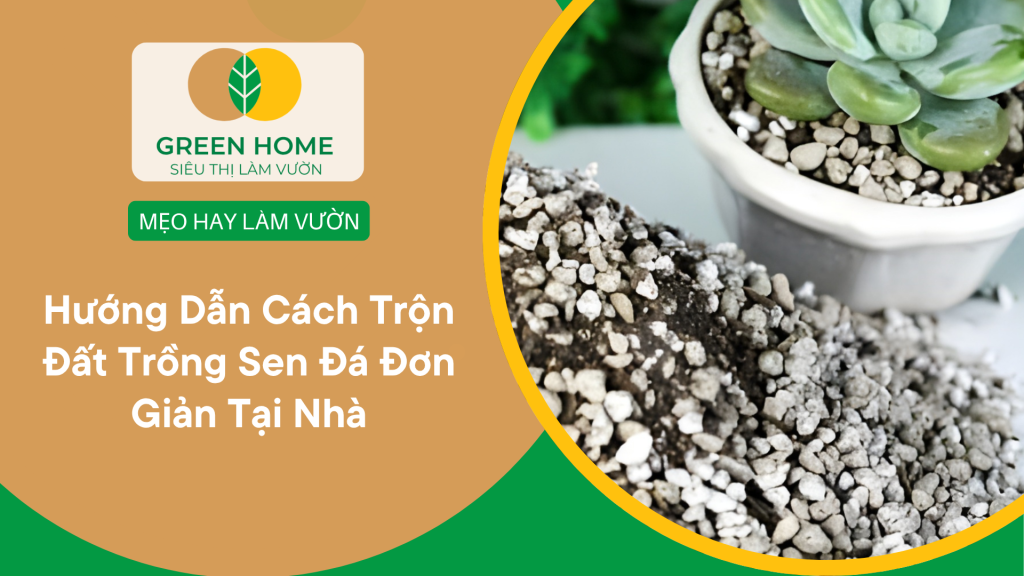 Cách trộn đất trồng sen đá đơn giản tại nhà