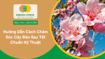 cách chăm sóc cây đào sau tết