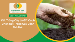 cách chọn đất trồng cây