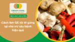 Cách làm GE tỏi ớt gừng tại nhà trừ sâu bệnh hiệu quả