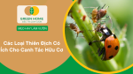 các loài thiên địch có ích cho canh tác