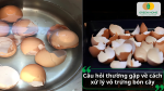 Câu hỏi thường gặp về cách xử lý vỏ trứng bón cây