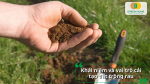 Hiểu đúng về cải tạo đất trồng rau sẽ giúp bạn tạo nên nền tảng vững chắc cho khu vườn xanh sạch lâu dài