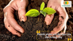 Một loại đất tốt là sự kết hợp giữa chất hữu cơ – khoáng chất – độ ẩm – và không khí