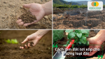 Mỗi loại đất đều có “tính cách” riêng – đất cát, đất thịt hay đất sét đều cần chăm khác nhau