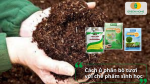 Thêm chế phẩm Trichoderma khi ủ giúp phân hoai nhanh, khử mùi và diệt mầm bệnh tự nhiên
