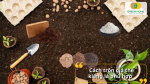 Cùng Greenhome học cách phối trộn giá thể chuẩn để kiểng lá bật rễ mạnh, lá mướt quanh năm