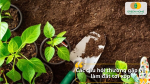 Những câu hỏi thường gặp nhất giúp bạn làm đất chuẩn chuyên gia