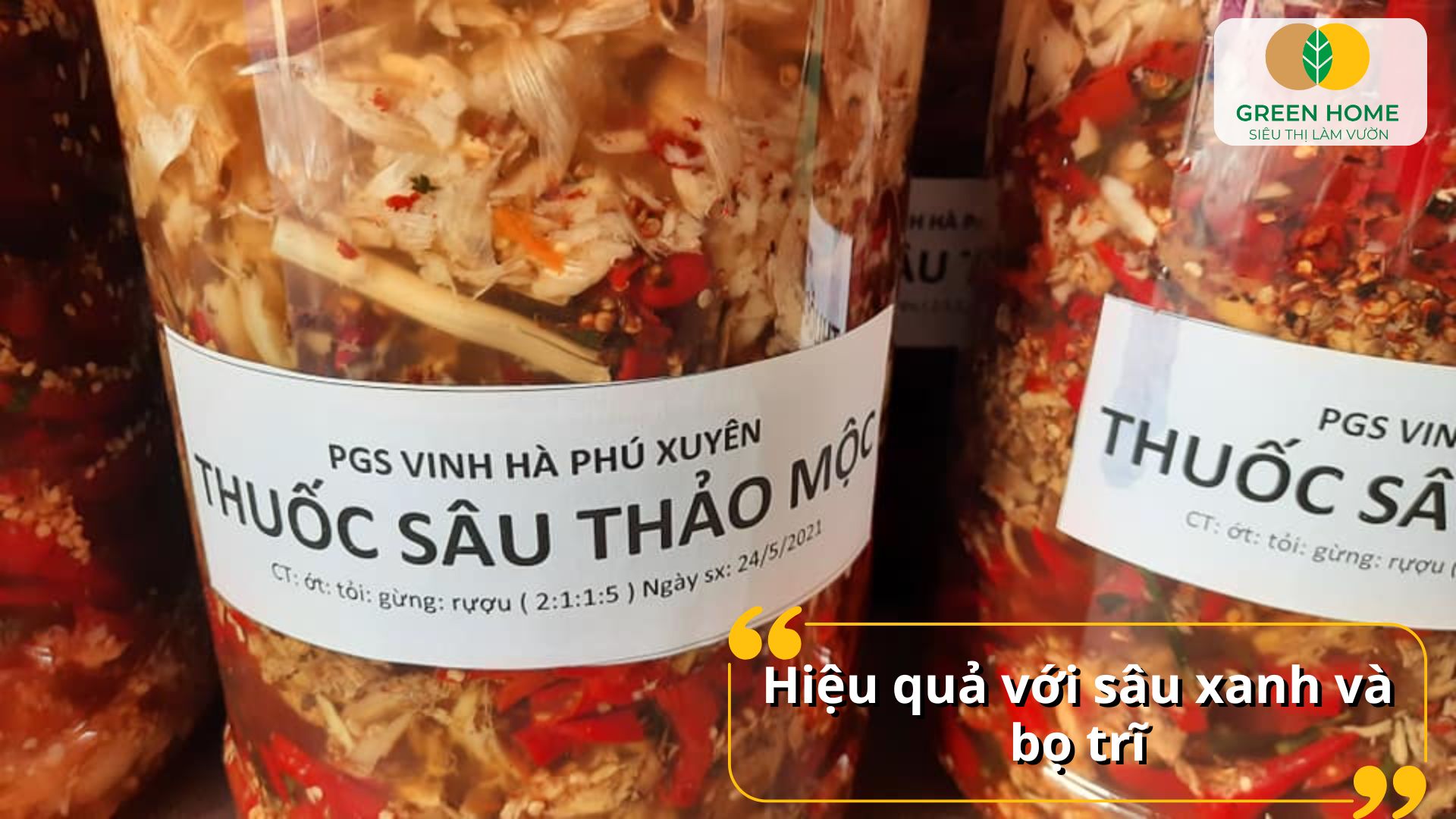 Thuốc trừ sâu từ tỏi ớt dễ pha chế và sử dụng