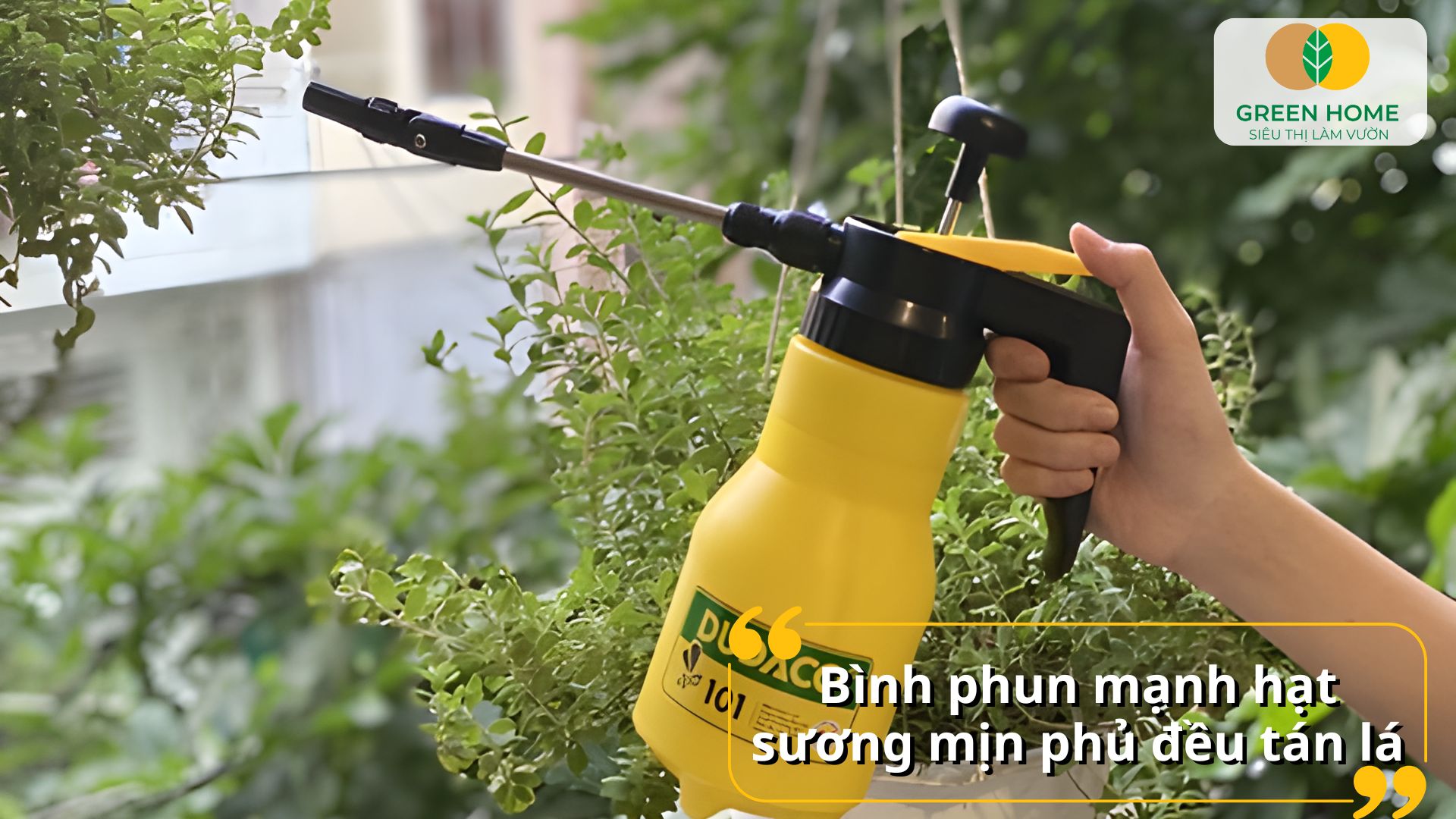 Tưới cây hàng ngày thật nhẹ nhàng với bình tưới Dudaco chất lượng cao