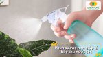 Tưới cây dễ dàng và tiết kiệm thời gian với bình xịt tưới cây tiện dụng