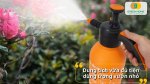 Bình xịt tưới cây hỗ trợ chăm sóc cây trong nhà hiệu quả hơn