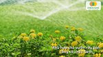 Hệ thống tưới cây hẹn giờ mang lại sự tiện nghi cho khu vườn hiện đại