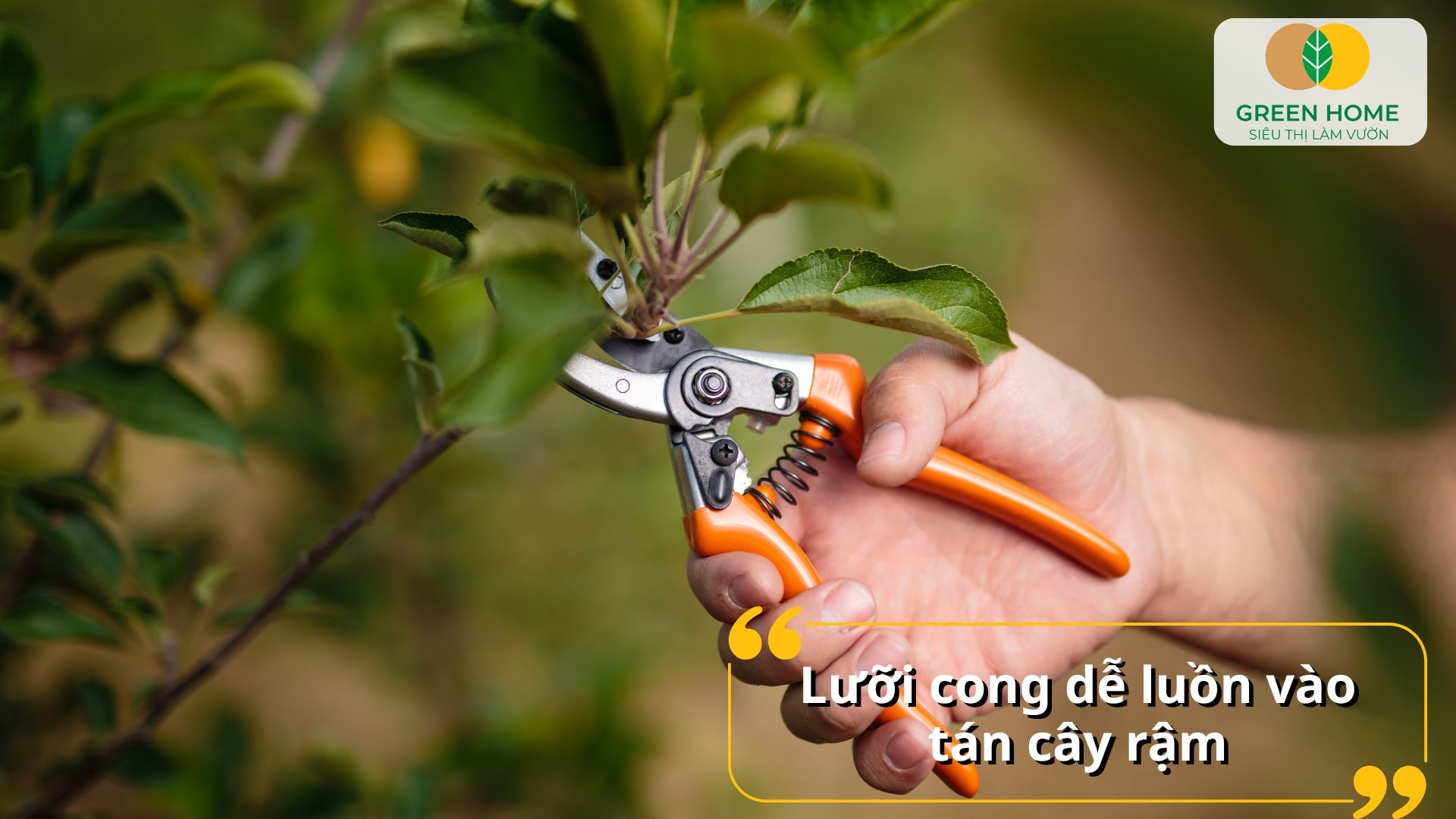 Kéo cắt cành nhẹ, dễ thao tác, phù hợp cho người mới trồng cây