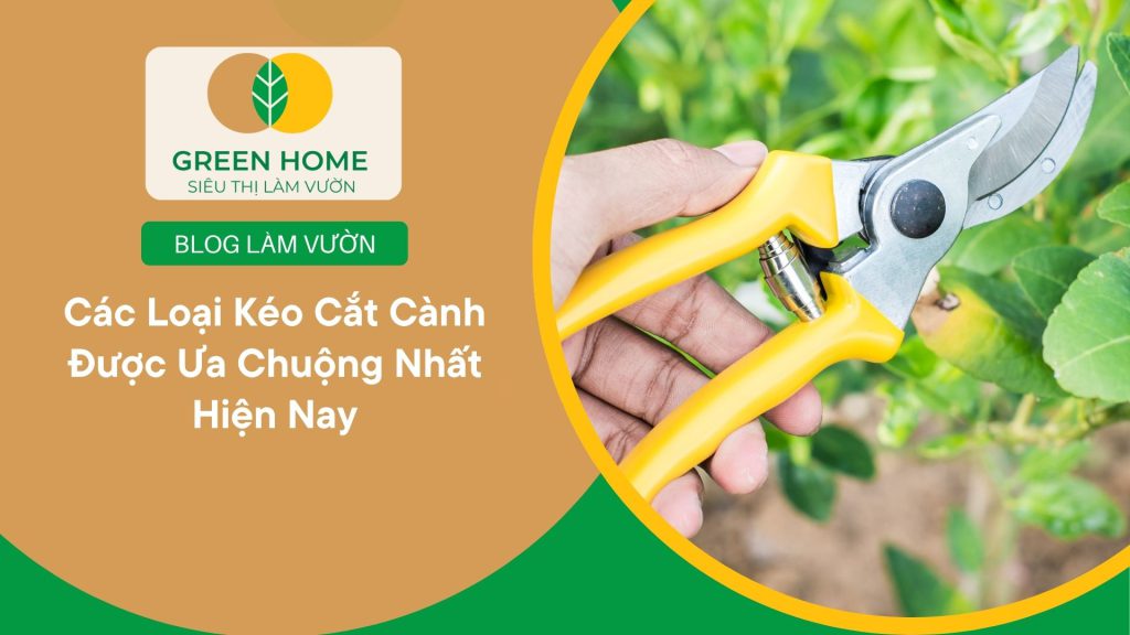 Kéo cắt cành giúp bạn tạo nên khu vườn gọn gàng, khỏe mạnh