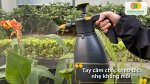 Bình xịt tưới cây phù hợp cho cả cây cảnh, hoa kiểng và rau sạch