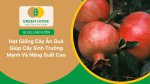 Gieo trồng đơn giản với hạt giống cây ăn quả cho người mới bắt đầu làm vườn