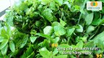 Hạt giống rau gia vị được tuyển chọn kỹ lưỡng cho tỷ lệ nảy mầm cao