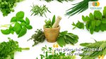 Tạo khu vườn nhỏ trong bếp với các loại hạt giống rau gia vị tươi mát