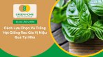 Gieo trồng tại nhà nhanh chóng và tiện lợi với hạt giống rau gia vị