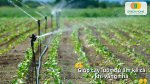 Dễ dàng cài đặt thời gian tưới phù hợp với hệ thống tưới cây hẹn giờ