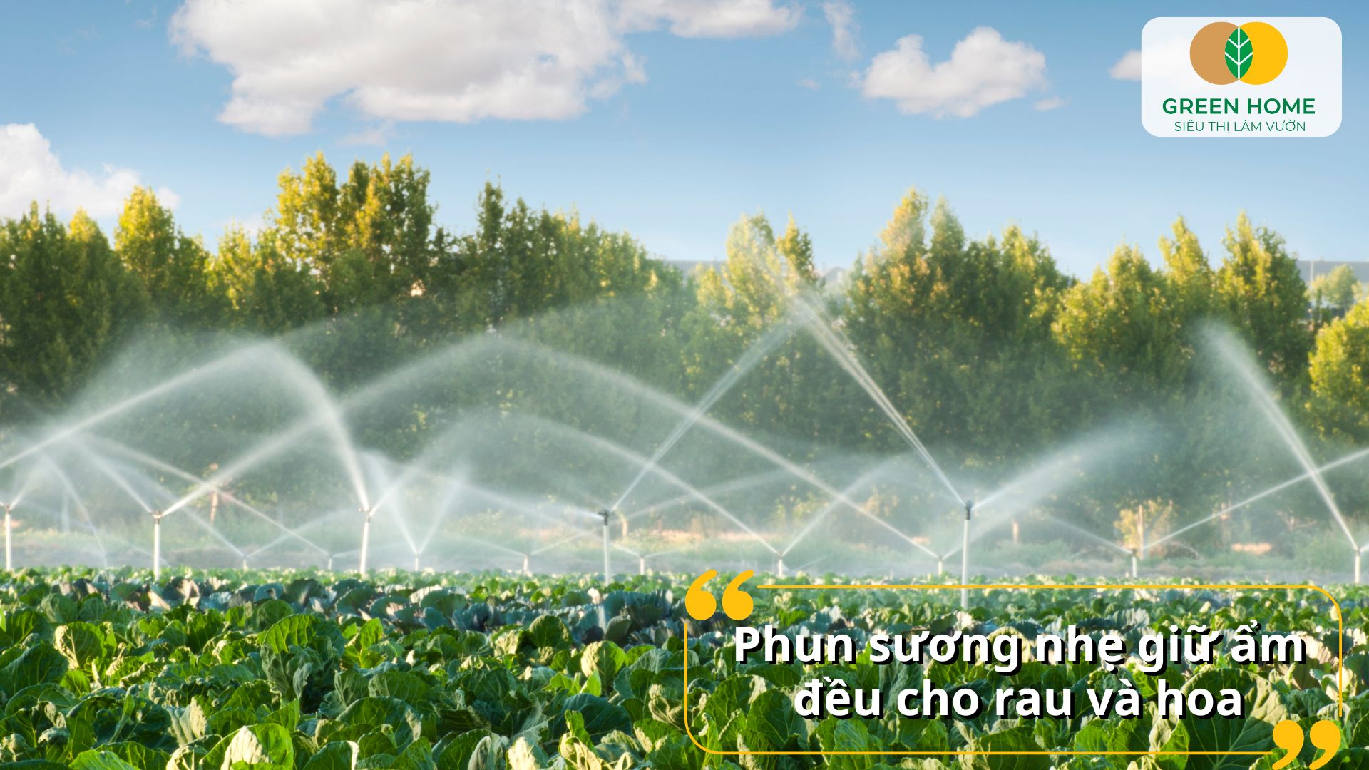 Lắp đặt đơn giản và dễ sử dụng với hệ thống tưới nước tự động thông minh