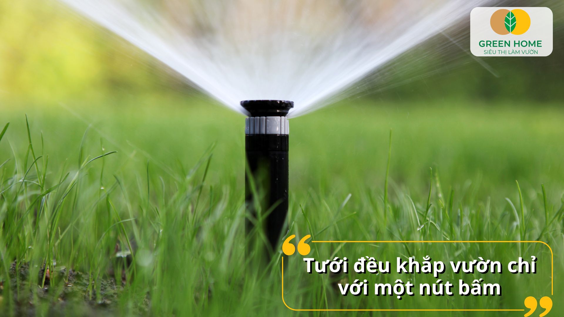 Chăm cây dễ dàng hơn mỗi ngày với hệ thống tưới nước tự động thông minh