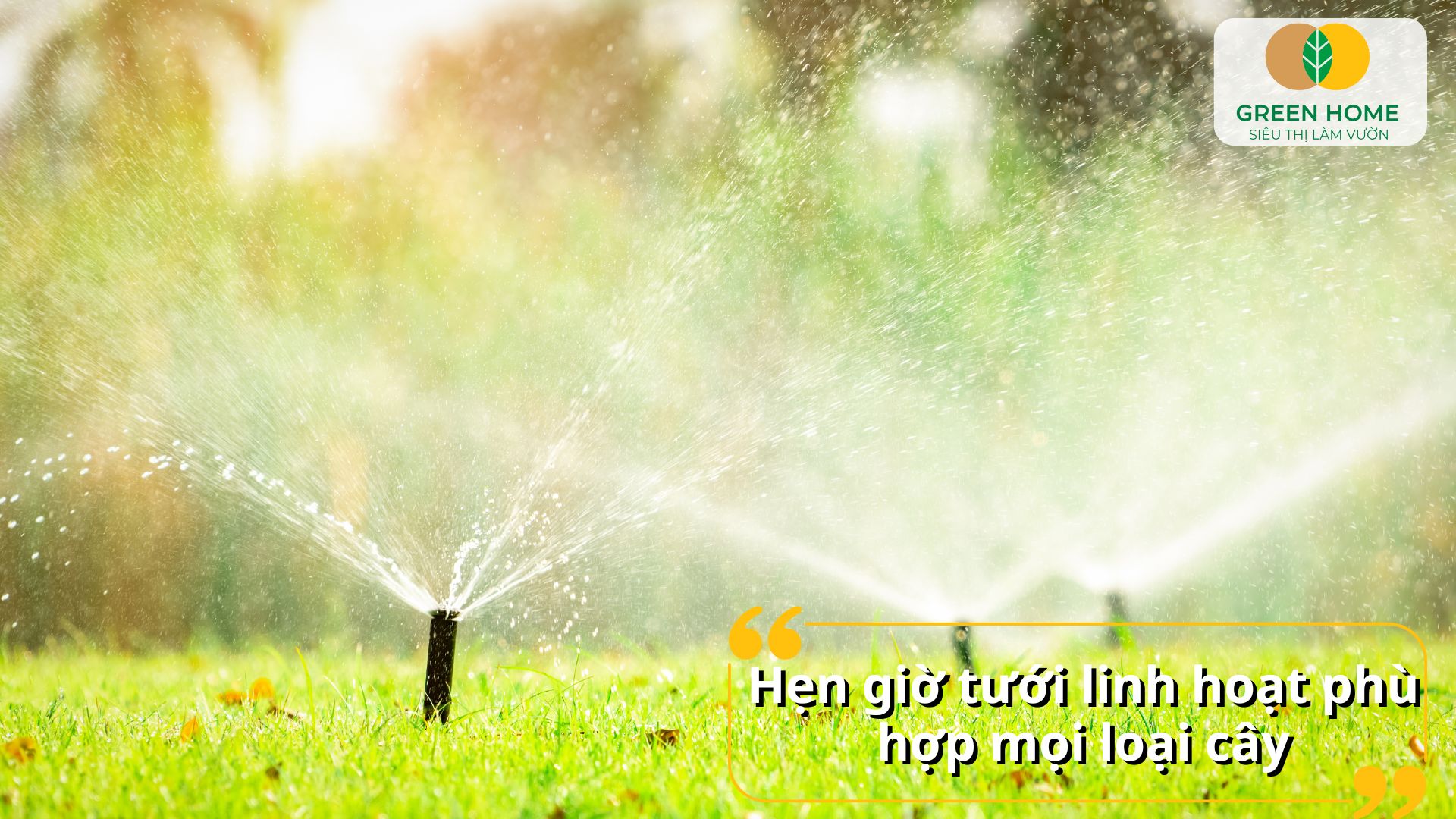 Duy trì độ ẩm lý tưởng cho cây với hệ thống tưới nước tự động hiện đại