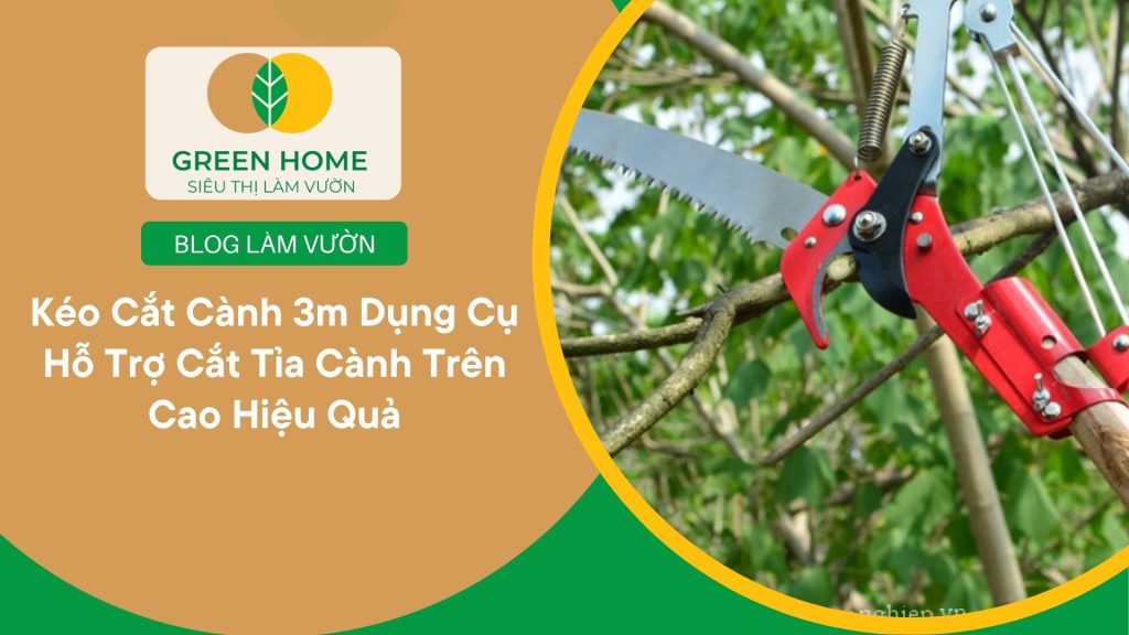 Chăm sóc vườn cây dễ dàng hơn nhờ kéo cắt cành 3m mở rộng