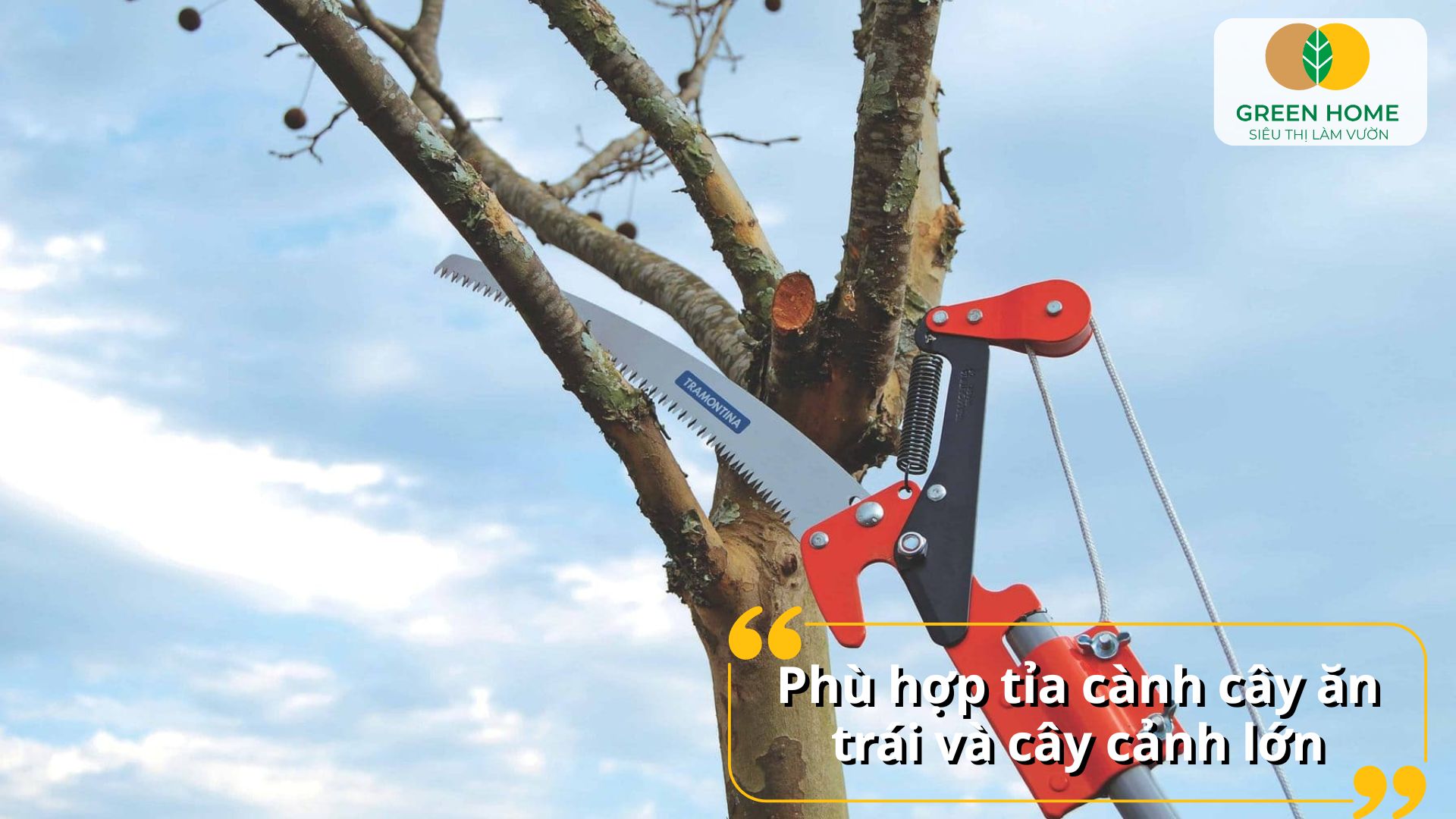Vươn xa đến 3 mét, kéo cắt cành 3m phù hợp cho cây bóng mát và cây ăn trái