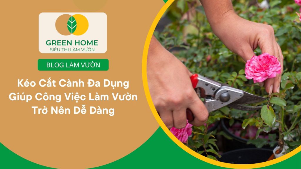 Kéo cắt cành nhỏ gọn, dễ bảo quản trong hộp dụng cụ làm vườn