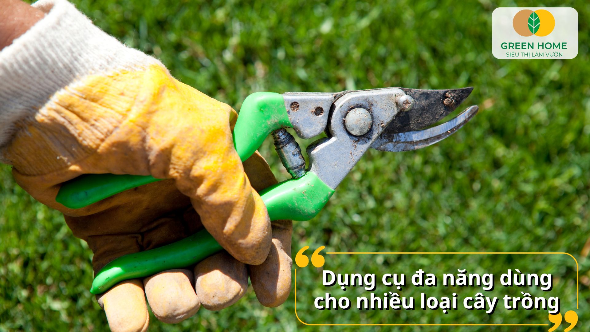 Tạo dáng bonsai tinh tế hơn với kéo cắt cành sắc bén