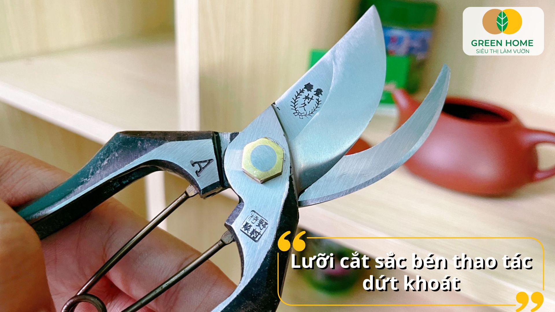 Kéo cắt cành giúp loại bỏ cành khô, giúp cây phát triển khỏe mạnh