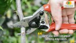 Kéo cắt tỉa cành cây giúp chăm sóc cây cảnh dễ dàng hơn