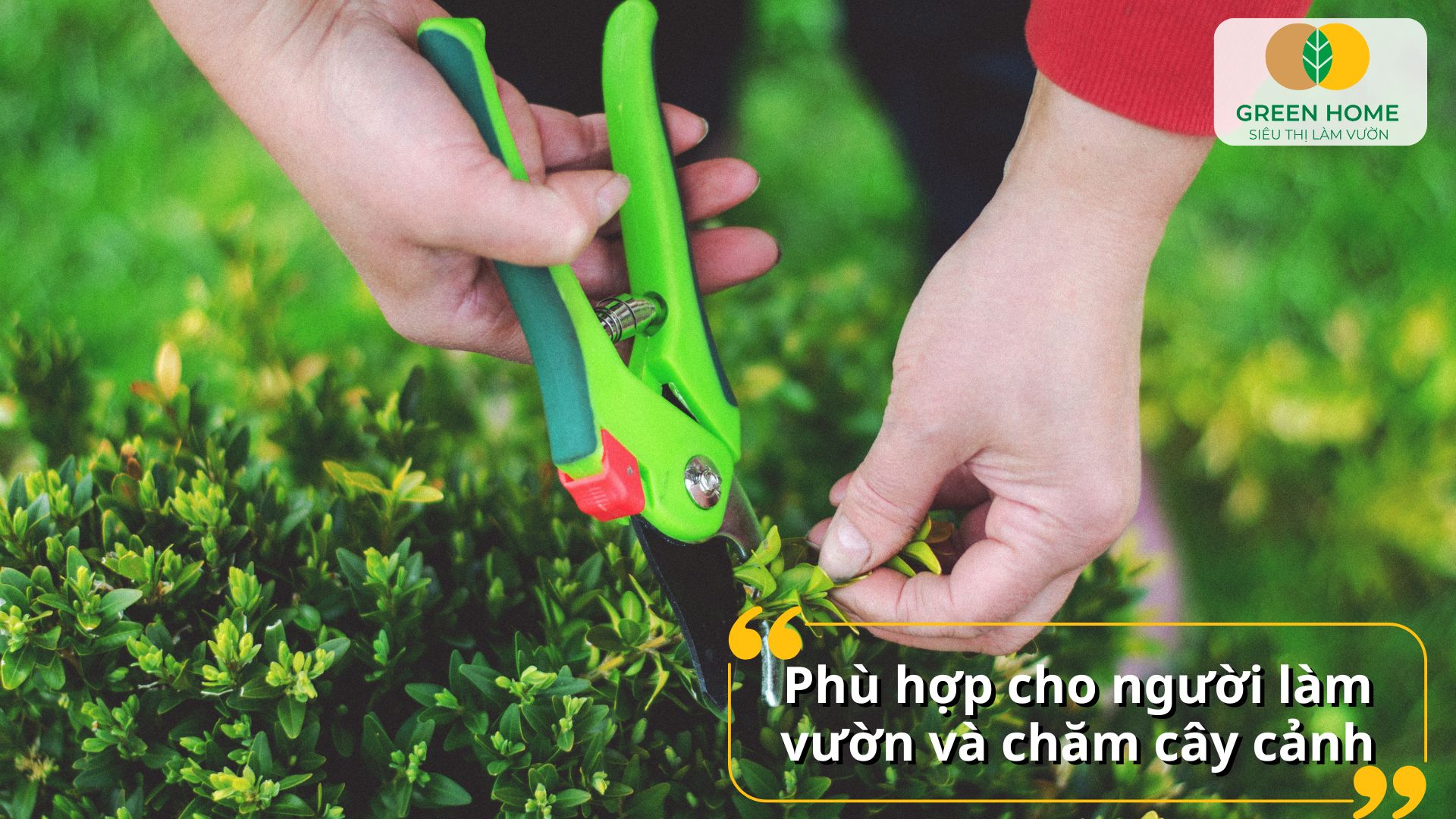 Kéo cắt cành giúp tiết kiệm thời gian chăm sóc vườn