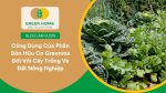 Dinh dưỡng từ phân bón hữu cơ Greenma giúp cây hấp thu dễ dàng và hiệu quả