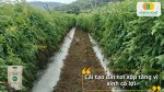 Lựa chọn an toàn cho nông nghiệp sạch chính là phân bón hữu cơ Greenma
