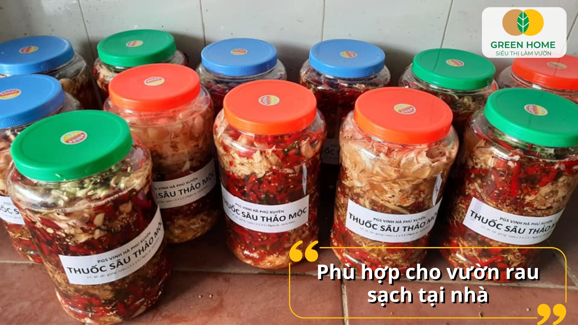 Vườn rau hữu cơ thêm an toàn nhờ thuốc trừ sâu từ tỏi ớt