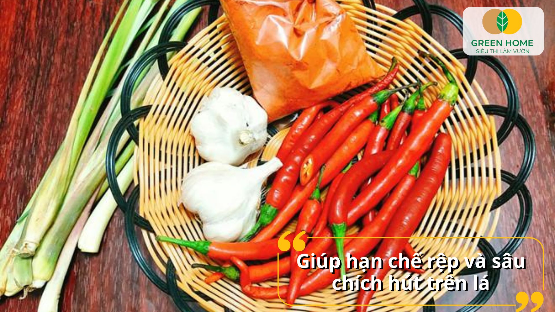 An toàn với môi trường nhờ thuốc trừ sâu từ tỏi ớt