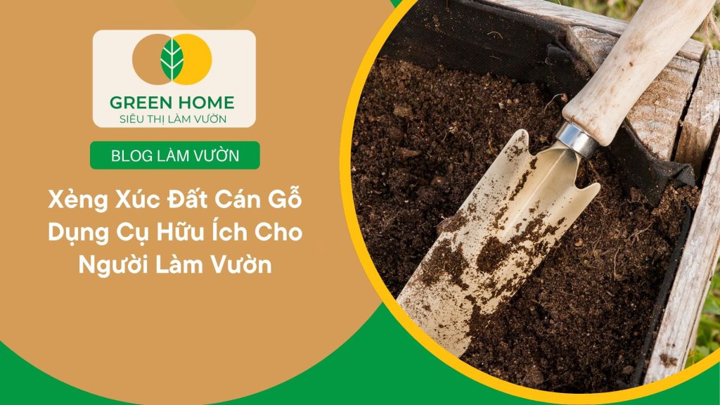 Dễ dàng xúc đất và giá thể nhờ xẻng xúc đất cán gỗ chắc tay