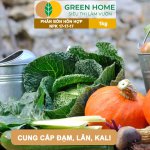 Phân bón NPK 17-17-17 Minro – Dinh dưỡng cân đối, cây khỏe, trái đẹp