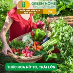 Phân bón NPK 17-17-17 Minro – Dinh dưỡng cân đối, cây khỏe, trái đẹp